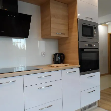 Apartment Dmowskiego - Kepa Mieszczanska